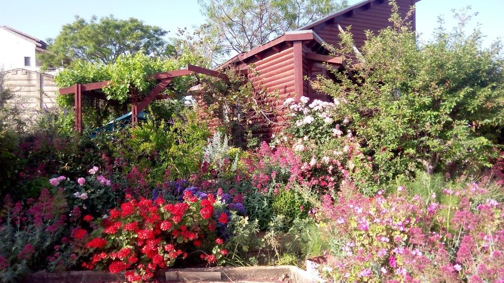 Hahar Aatzil Villa Hazon Exterior foto